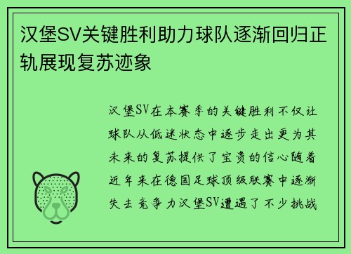 汉堡SV关键胜利助力球队逐渐回归正轨展现复苏迹象