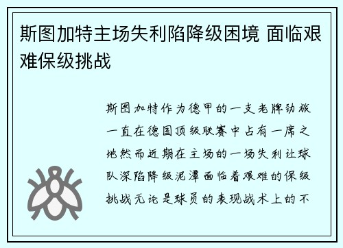斯图加特主场失利陷降级困境 面临艰难保级挑战