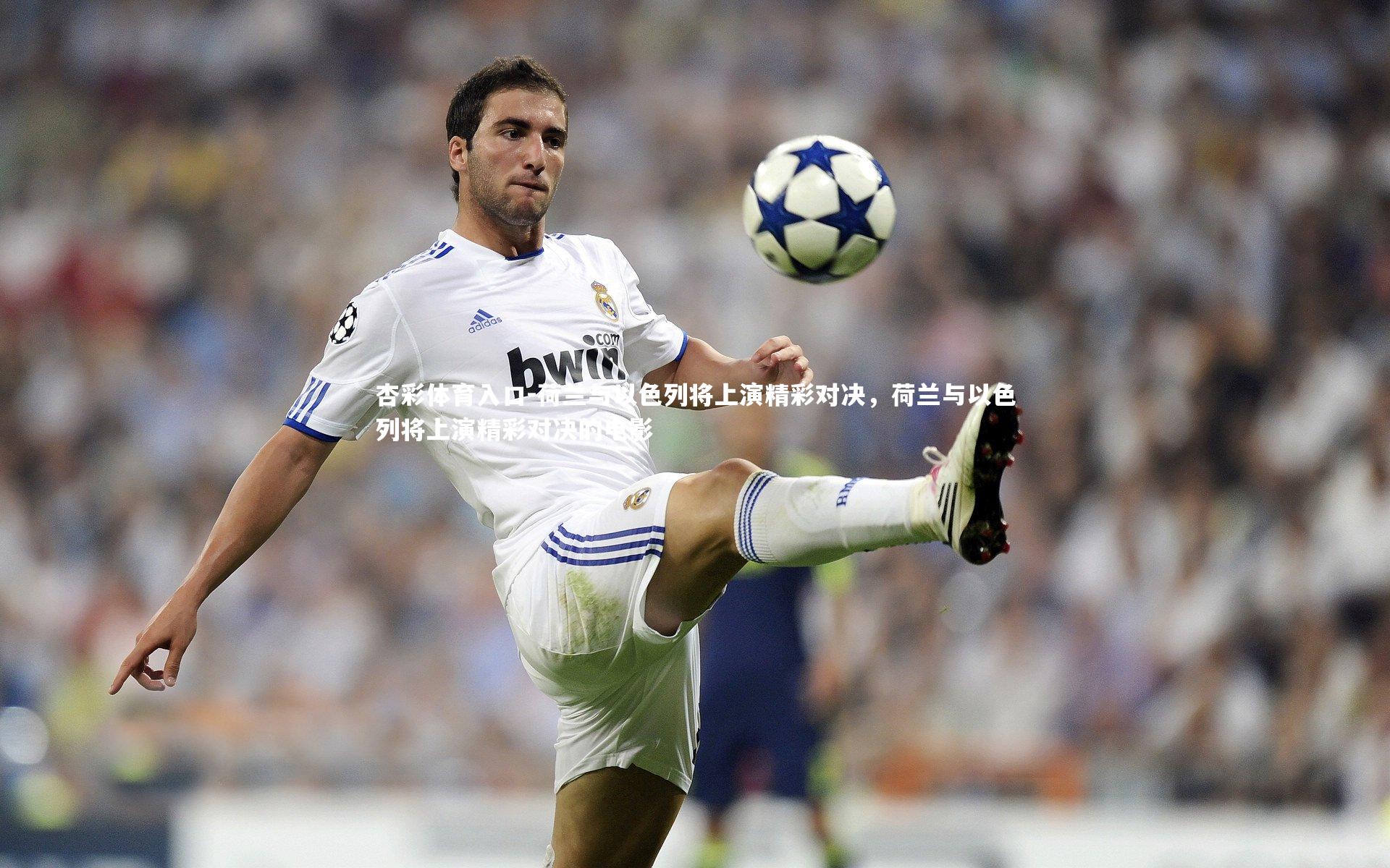 荷兰与以色列将上演精彩对决，荷兰与以色列将上演精彩对决的电影