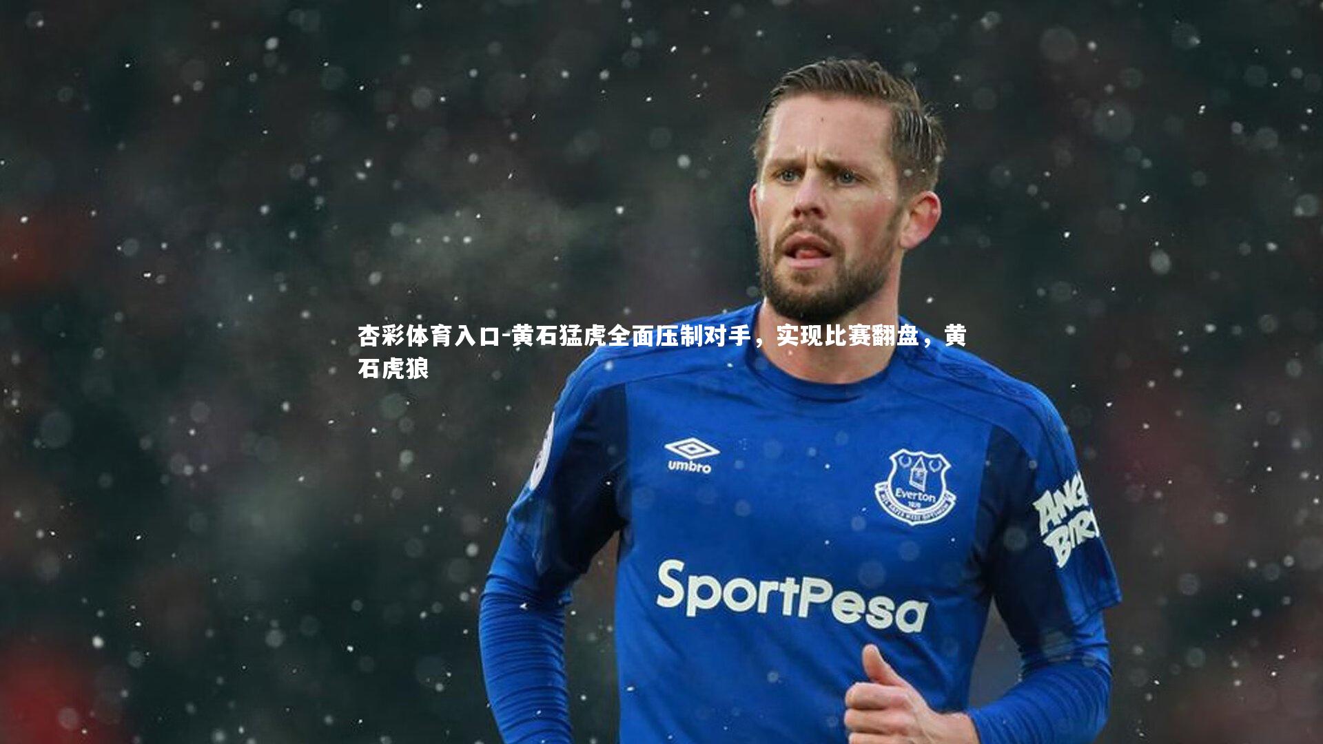 杏彩体育入口-黄石猛虎全面压制对手，实现比赛翻盘，黄石虎狼