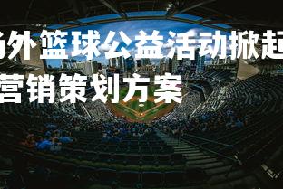 杏彩体育入口-球场外篮球公益活动掀起热潮，助力弱势群体成长，篮球公益营销策划方案